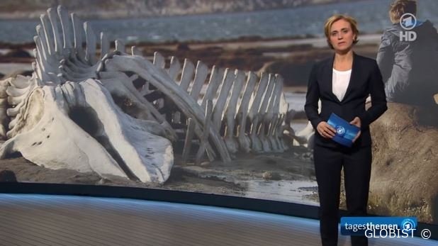 Selbst Kulturbeiträge nutzt die ARD zur Anti-Russland Hetze