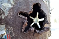 Ukrainische Armee hat das Gelände der DVR innerhalb einer Woche 479 mal beschossen