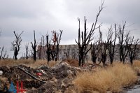 Ukrainische Armee hat in der Nacht die umliegende Gegend des Flughafens durch Granatwerfer beschossen